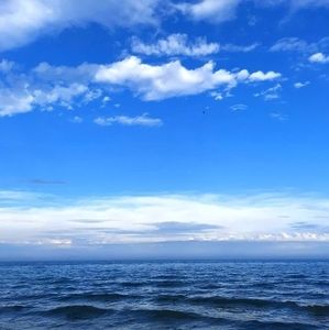 Meet your Posher, Irma